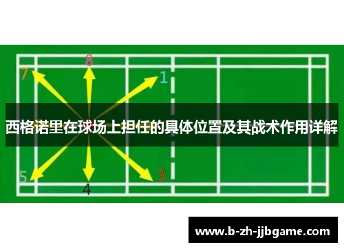 西格诺里在球场上担任的具体位置及其战术作用详解 西格诺里在球场上担任的具体位置及其战术作用详解