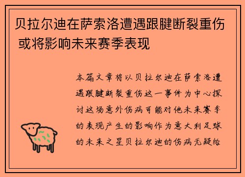 贝拉尔迪在萨索洛遭遇跟腱断裂重伤 或将影响未来赛季表现